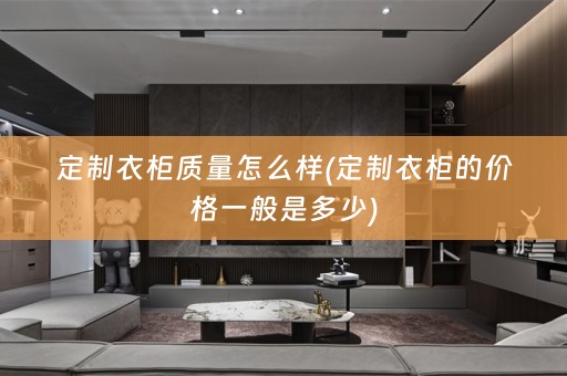 定制衣柜质量怎么样(定制衣柜的价格一般是多少)