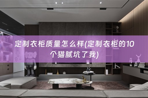 定制衣柜质量怎么样(定制衣柜的10个猫腻坑了我)