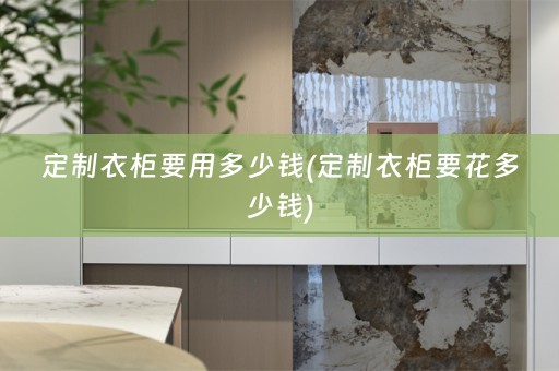 定制衣柜要用多少钱(定制衣柜要花多少钱)