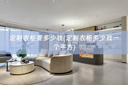 定制衣柜要多少钱(定制衣柜多少钱一个平方)
