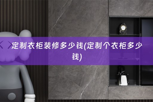 定制衣柜装修多少钱(定制个衣柜多少钱)