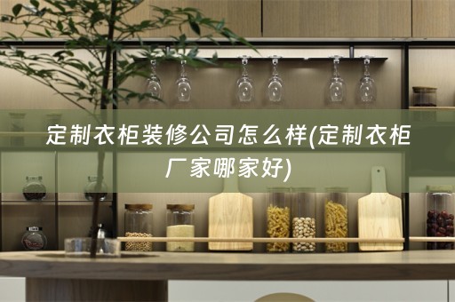 定制衣柜装修公司怎么样(定制衣柜厂家哪家好)