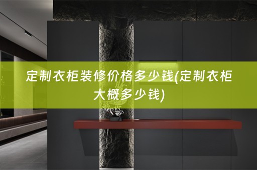定制衣柜装修价格多少钱(定制衣柜大概多少钱)