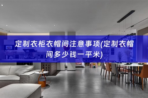 定制衣柜衣帽间注意事项(定制衣帽间多少钱一平米)