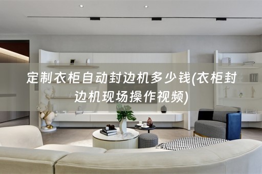 定制衣柜自动封边机多少钱(衣柜封边机现场操作视频)