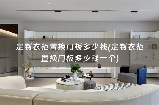 定制衣柜置换门板多少钱(定制衣柜置换门板多少钱一个)