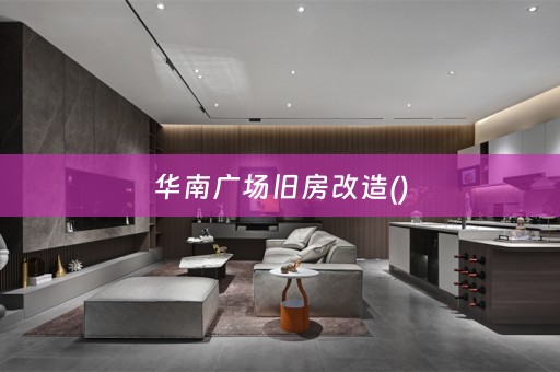 华南广场旧房改造()