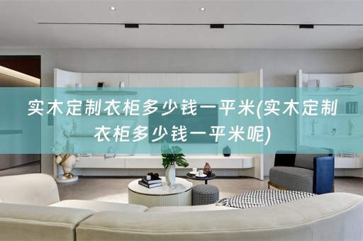 实木定制衣柜多少钱一平米(实木定制衣柜多少钱一平米呢)