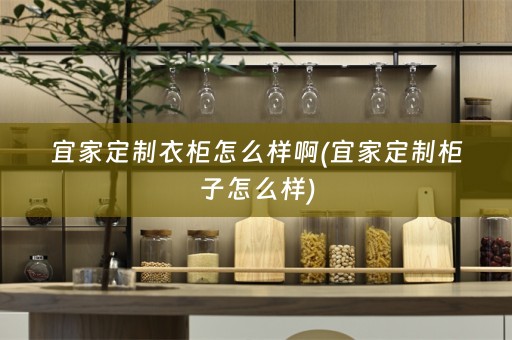 宜家定制衣柜怎么样啊(宜家定制柜子怎么样)