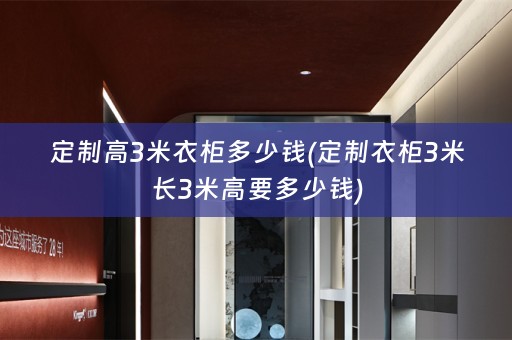 定制高3米衣柜多少钱(定制衣柜3米长3米高要多少钱)