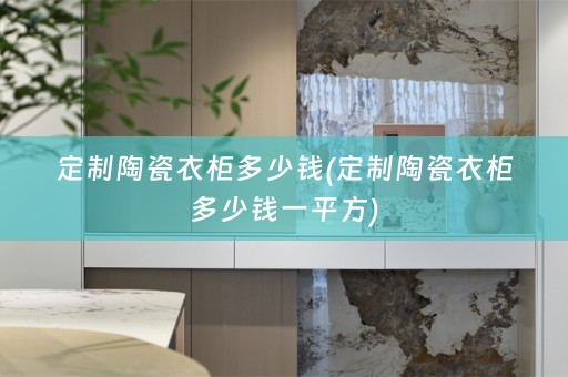 定制陶瓷衣柜多少钱(定制陶瓷衣柜多少钱一平方)