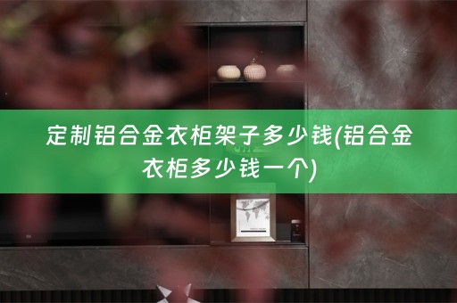 定制铝合金衣柜架子多少钱(铝合金衣柜多少钱一个)