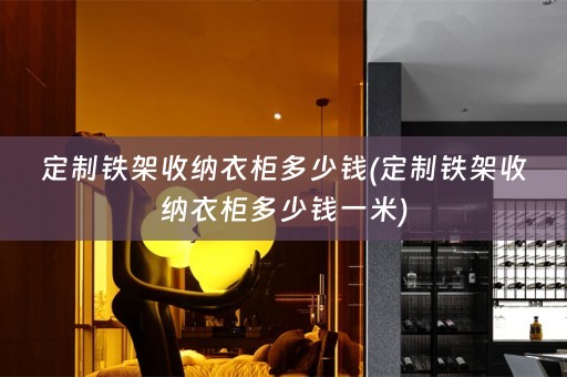 定制铁架收纳衣柜多少钱(定制铁架收纳衣柜多少钱一米)