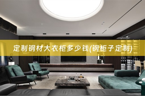 定制钢材大衣柜多少钱(钢柜子定制)