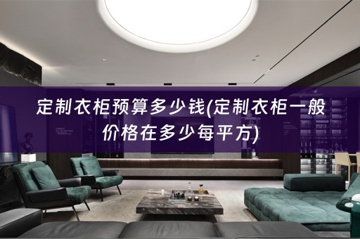 定制衣柜预算多少钱(定制衣柜一般价格在多少每平方)