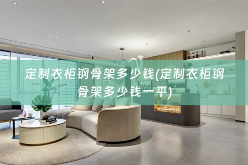 定制衣柜钢骨架多少钱(定制衣柜钢骨架多少钱一平)