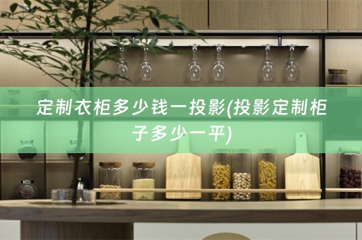 定制衣柜多少钱一投影(投影定制柜子多少一平)