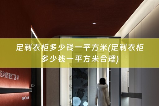 定制衣柜多少钱一平方米(定制衣柜多少钱一平方米合理)