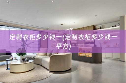 定制衣柜多少钱一(定制衣柜多少钱一平方)