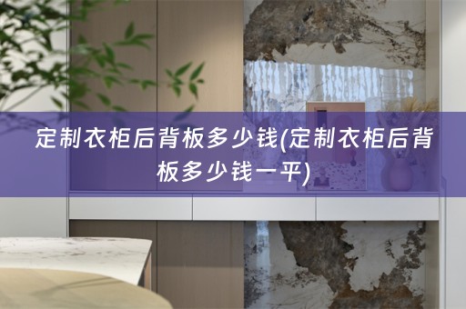 定制衣柜后背板多少钱(定制衣柜后背板多少钱一平)