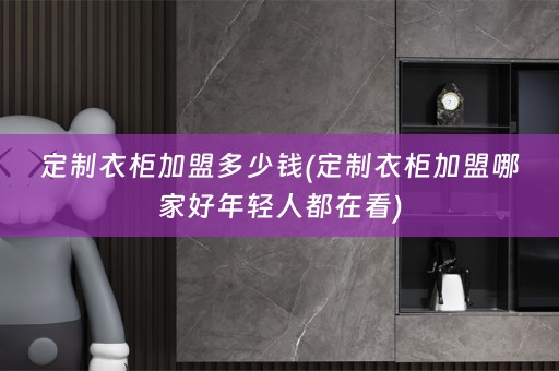 定制衣柜加盟多少钱(定制衣柜加盟哪家好年轻人都在看)