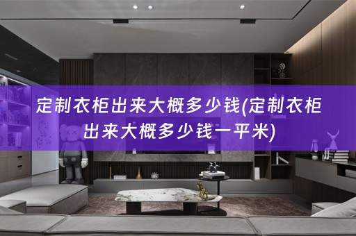 定制衣柜出来大概多少钱(定制衣柜出来大概多少钱一平米)