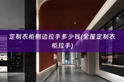 定制衣柜侧边拉手多少钱(衣柜拉手)
