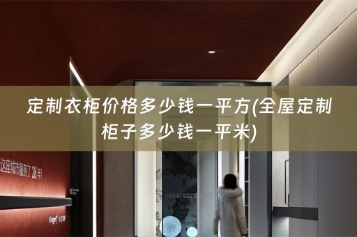 定制衣柜价格多少钱一平方(柜子多少钱一平米)