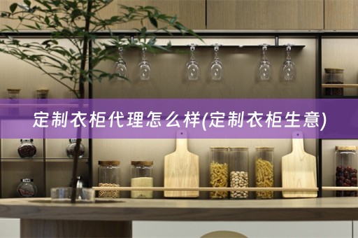 定制衣柜代理怎么样(定制衣柜生意)