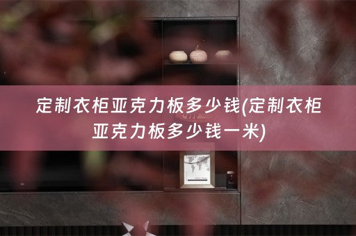 定制衣柜亚克力板多少钱(定制衣柜亚克力板多少钱一米)
