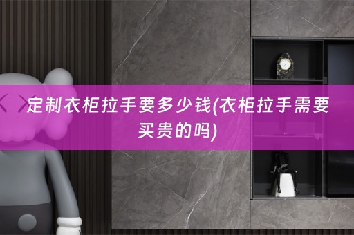 定制衣柜拉手要多少钱(衣柜拉手需要买贵的吗)