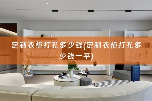 定制衣柜打孔多少钱(定制衣柜打孔多少钱一平)