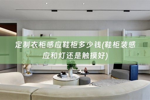 定制衣柜感应鞋柜多少钱(鞋柜装感应和灯还是触摸好)
