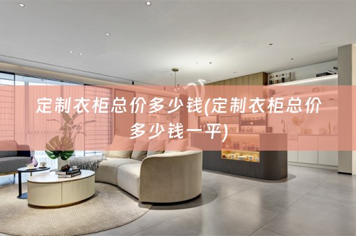 定制衣柜总价多少钱(定制衣柜总价多少钱一平)