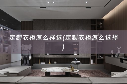 定制衣柜怎么样选(定制衣柜怎么选择)