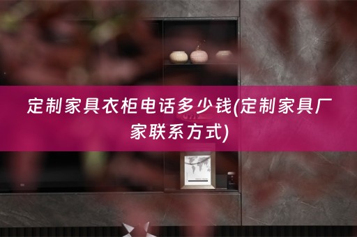 定制家具衣柜电话多少钱(定制家具厂家联系方式)