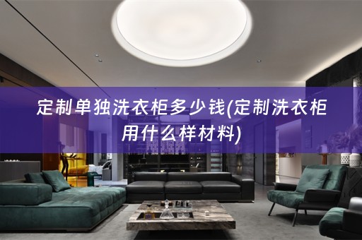定制单独洗衣柜多少钱(定制洗衣柜用什么样材料)