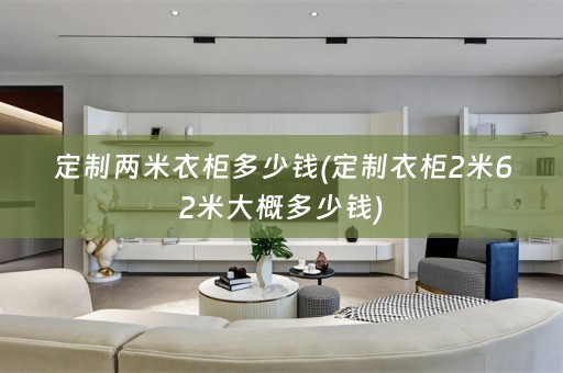 定制两米衣柜多少钱(定制衣柜2米62米大概多少钱)