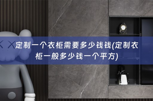 定制一个衣柜需要多少钱钱(定制衣柜一般多少钱一个平方)