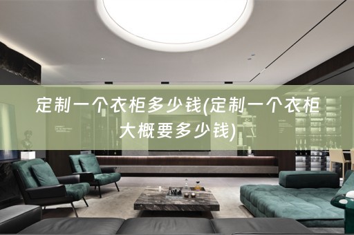 定制一个衣柜多少钱(定制一个衣柜大概要多少钱)