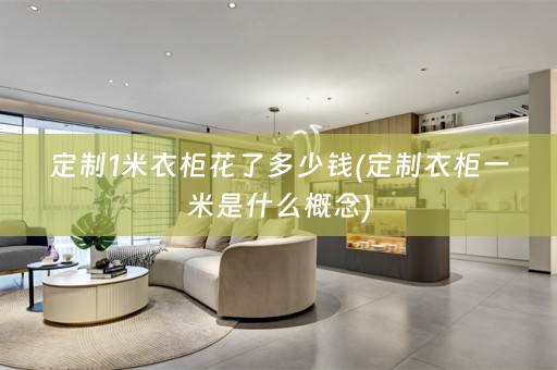 定制1米衣柜花了多少钱(定制衣柜一米是什么概念)