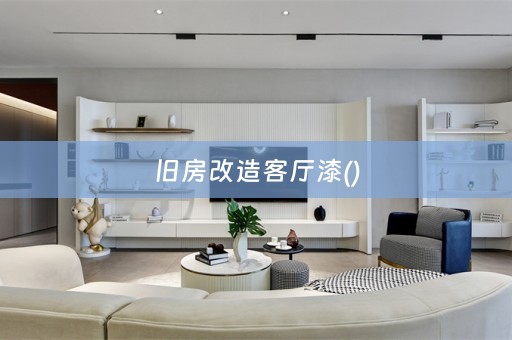 旧房改造客厅漆()