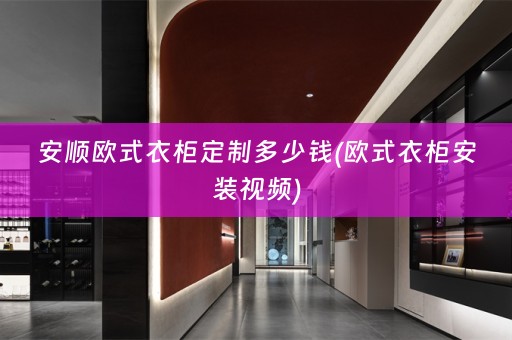 安顺欧式衣柜定制多少钱(欧式衣柜安装视频)