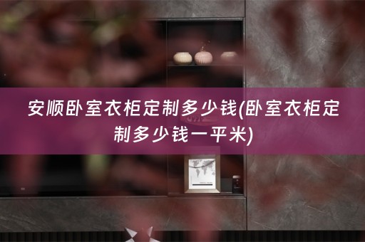 安顺卧室衣柜定制多少钱(卧室衣柜定制多少钱一平米)