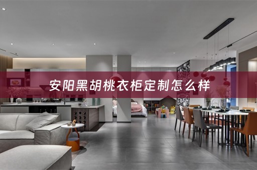 安阳黑胡桃衣柜定制怎么样