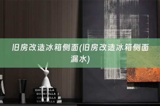 旧房改造冰箱侧面(旧房改造冰箱侧面漏水)