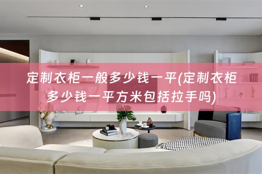 定制衣柜一般多少钱一平(定制衣柜多少钱一平方米包括拉手吗)