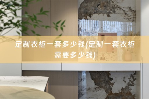 定制衣柜一套多少钱(定制一套衣柜需要多少钱)