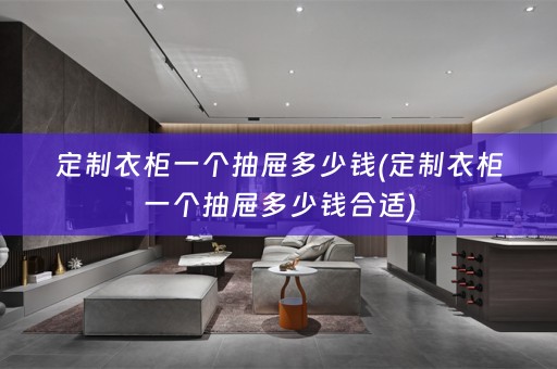 定制衣柜一个抽屉多少钱(定制衣柜一个抽屉多少钱合适)
