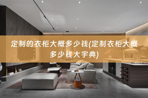 定制的衣柜大概多少钱(定制衣柜大概多少钱大宇典)